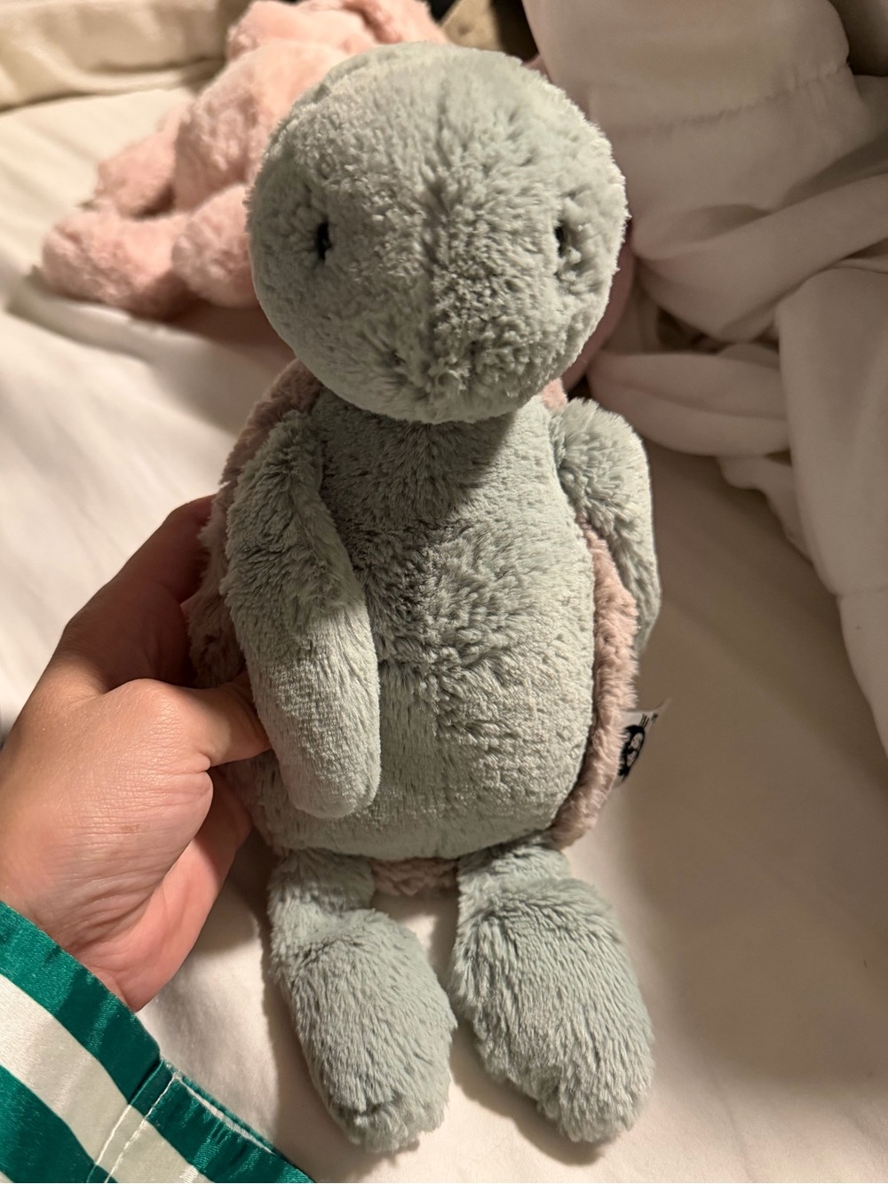 Jellycat Cordy Roy Tortoise Turtle Plush Retired Sage Green Rare
